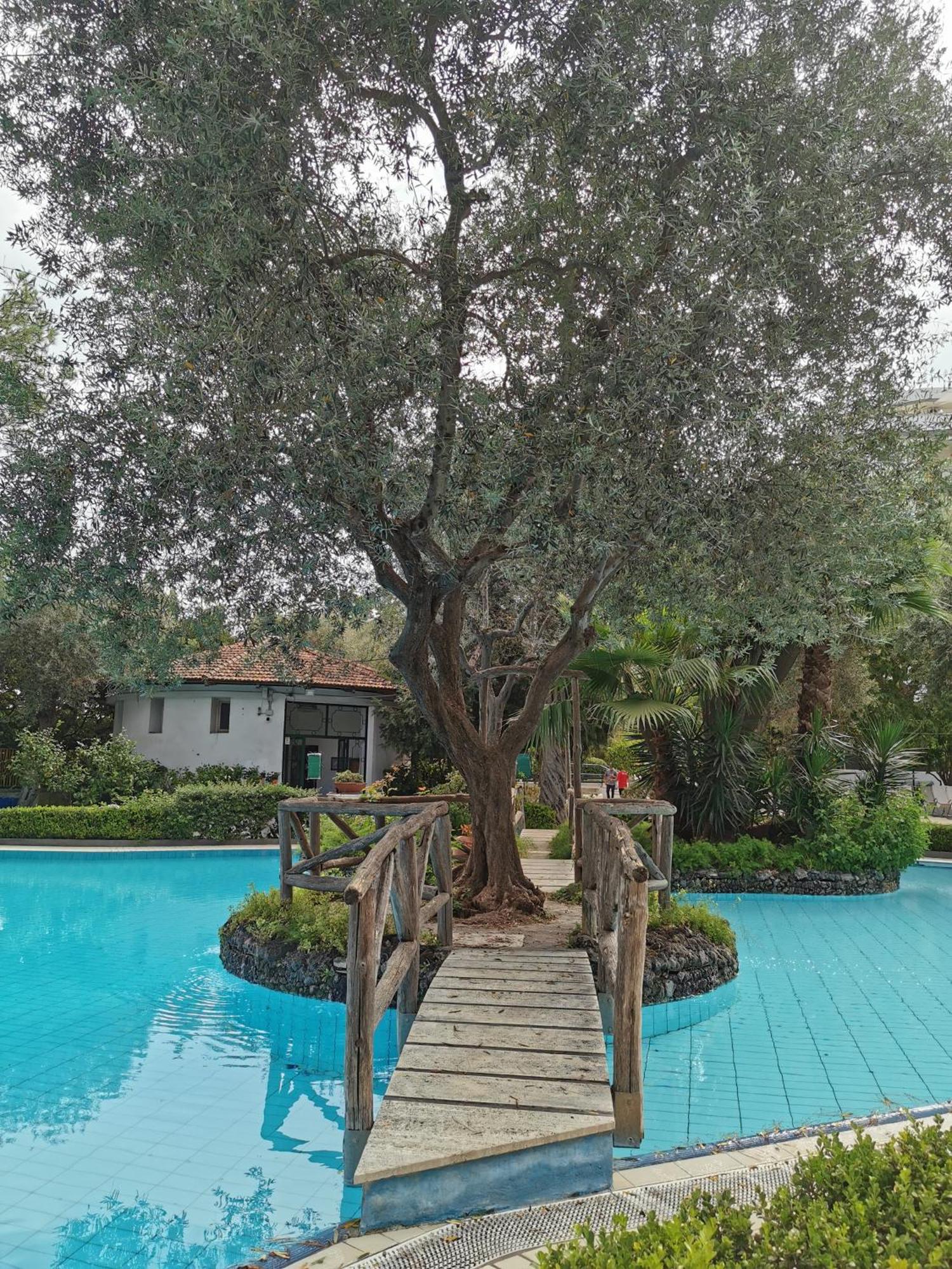 Casa Mar - Elegant Apartment With Pool And Panoramic Terrace In The Heart Of Península Sorrentina Exterior foto